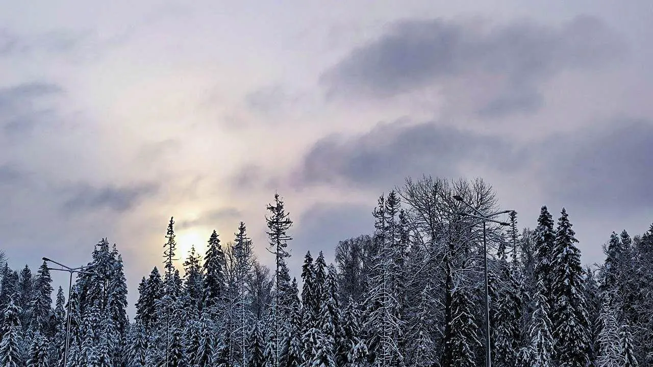 REGIONS/Роман Малышенко