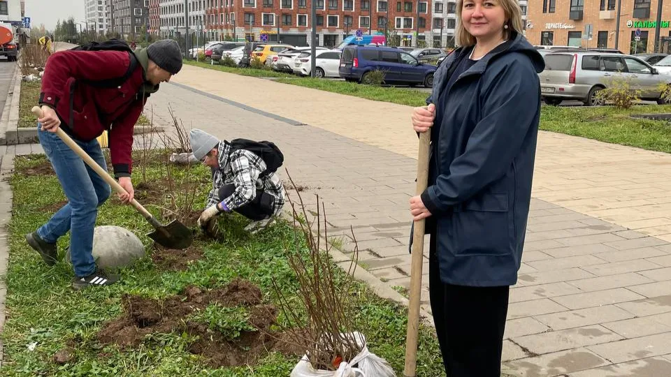 Фото: пресс-служба администрации г.о. Красногорск