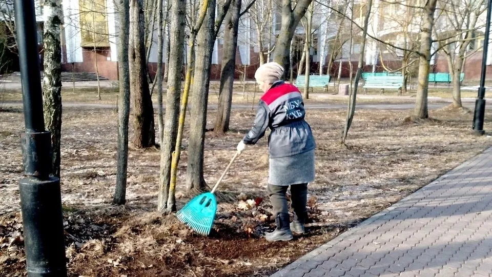 Фото: МБУ «КХБ» Краснознаменска