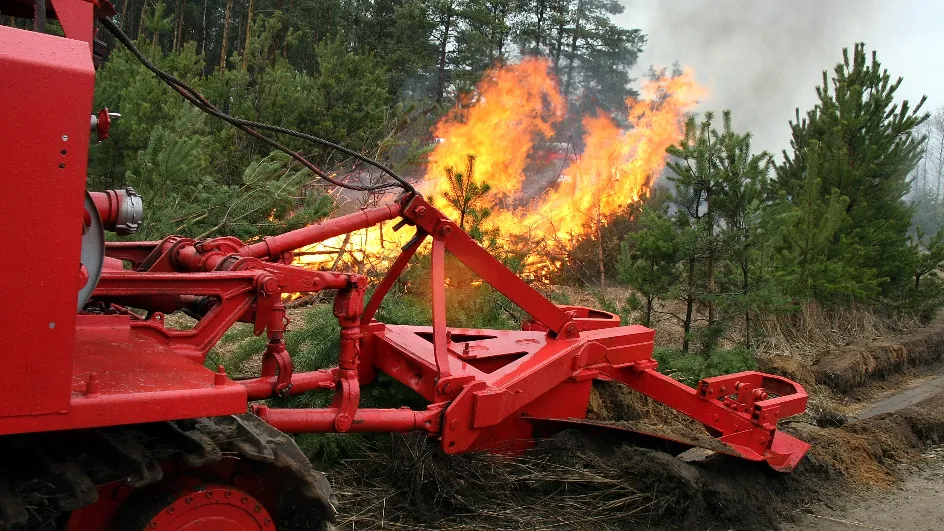 Фото: медиасток.рф