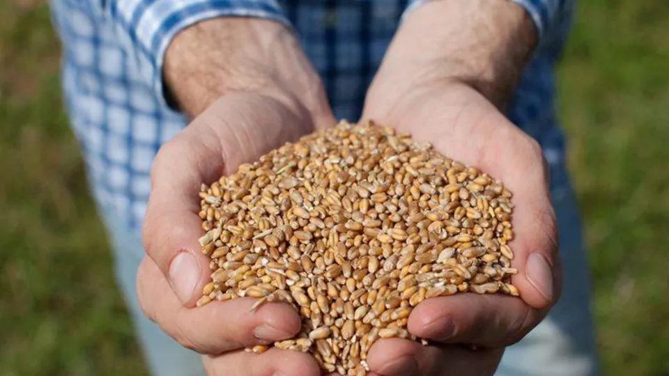 Фото: МедиаБанк Подмосковья/Ксения Сидорова