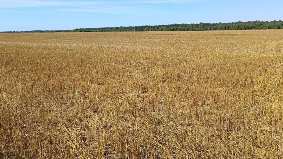 Фото: Министерство имущественных отношений Московской области