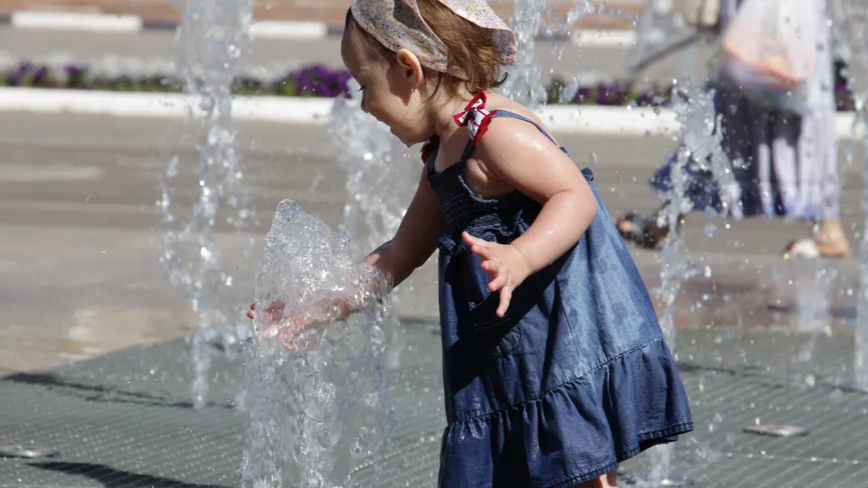 Фото: медиасток.рф