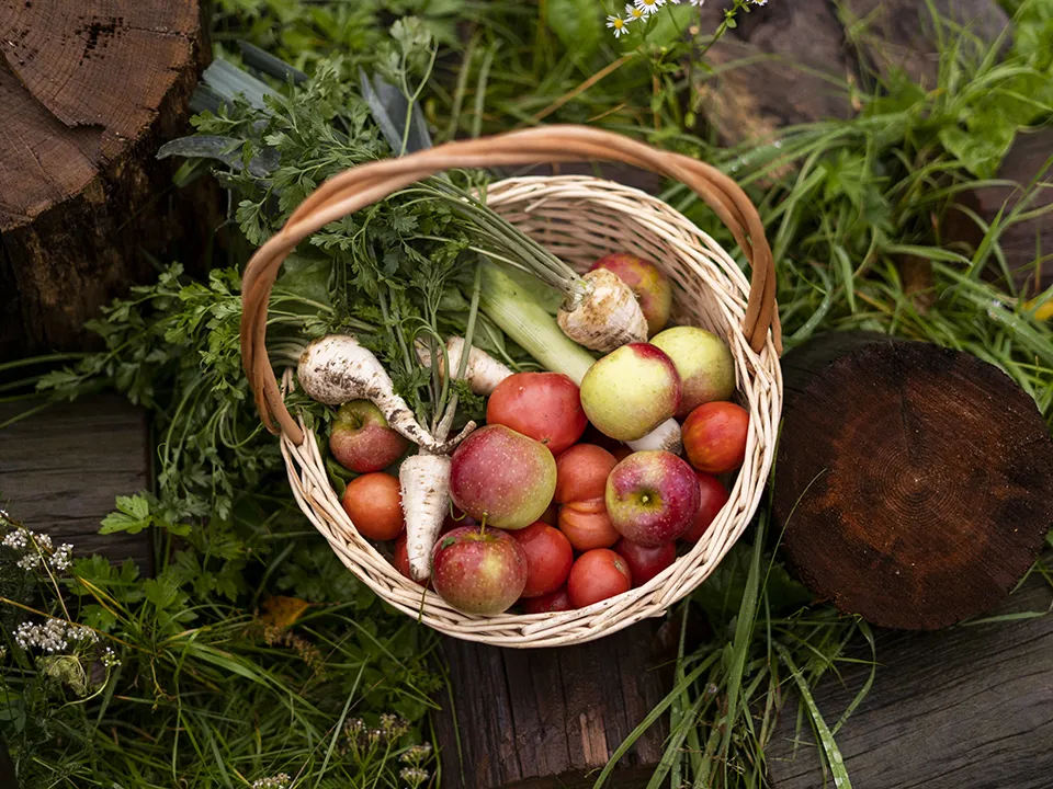 Фото: freepik.com