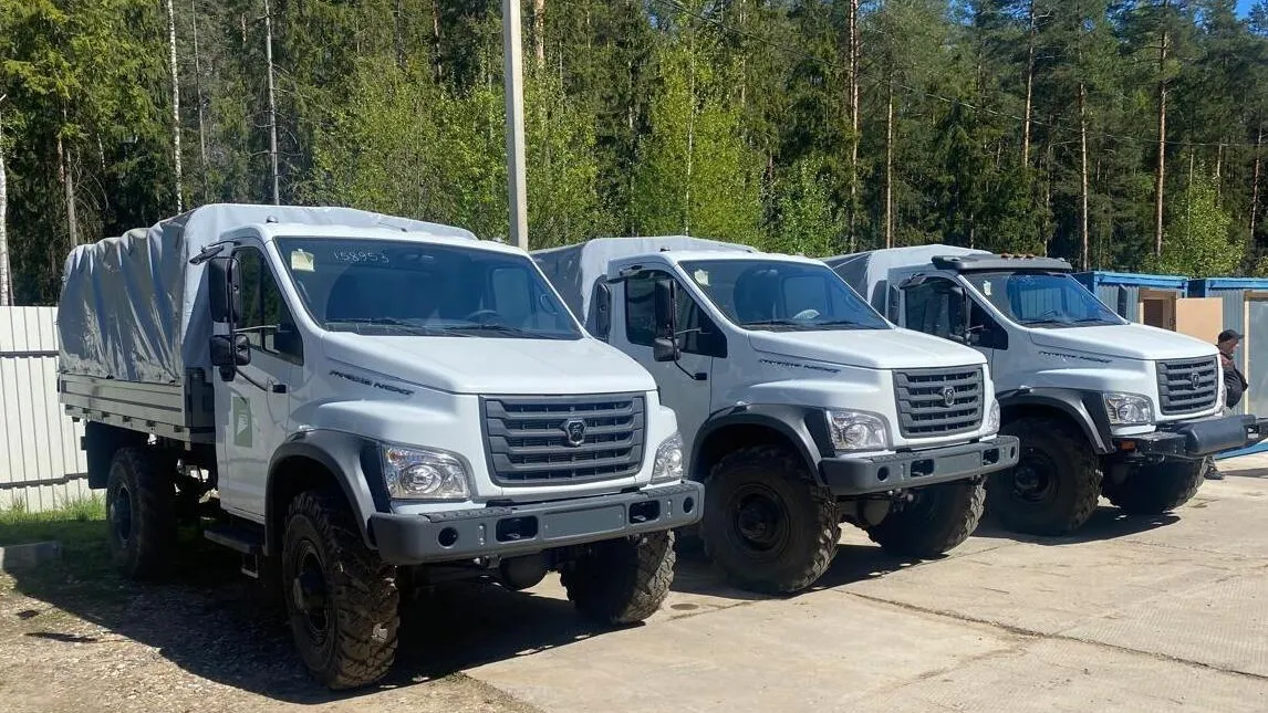 Фото: Комитет лесного хозяйства МО