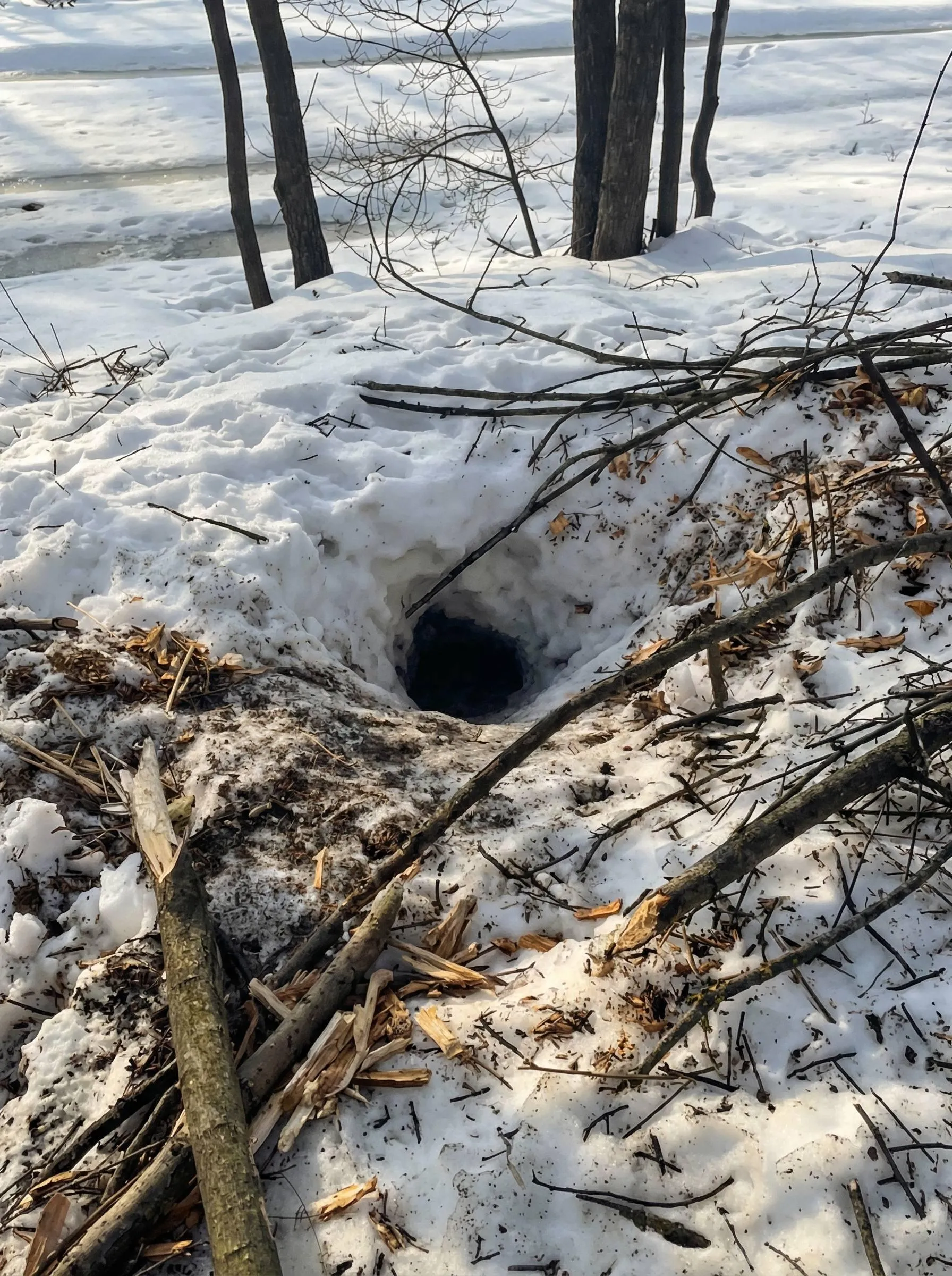 t.me/andreykovalev_russia