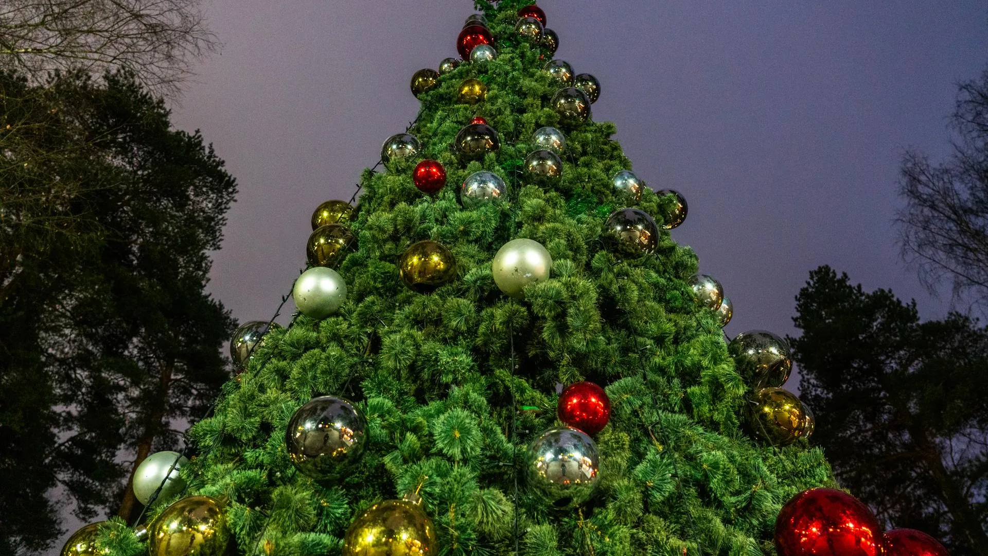 В Рязани стартует масштабный праздник в статусе Новогодней столицы