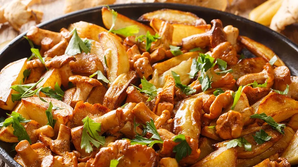 Фото: istockphoto.com/ALLEKO