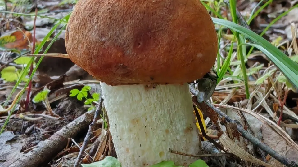 Фото: Константин Кошелев