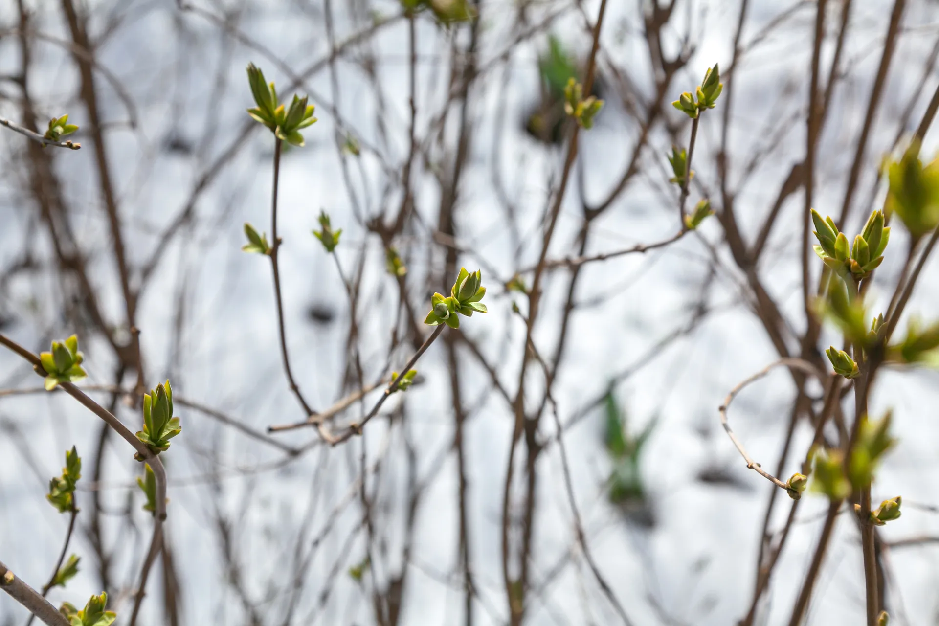 Весна в городе Дзержинский