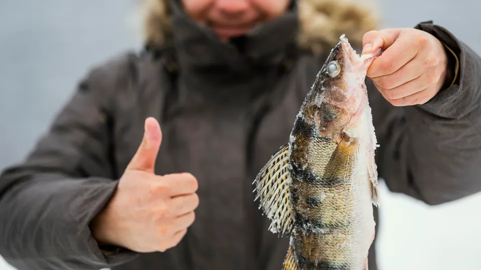 Фото: freepik.com