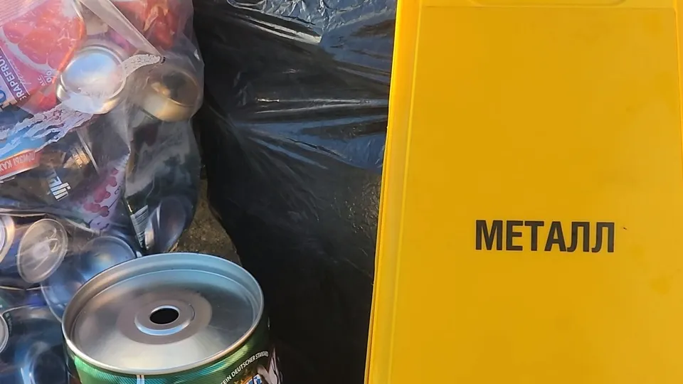 Фото: МедиаБанк Подмосковья/Марина Анисимова