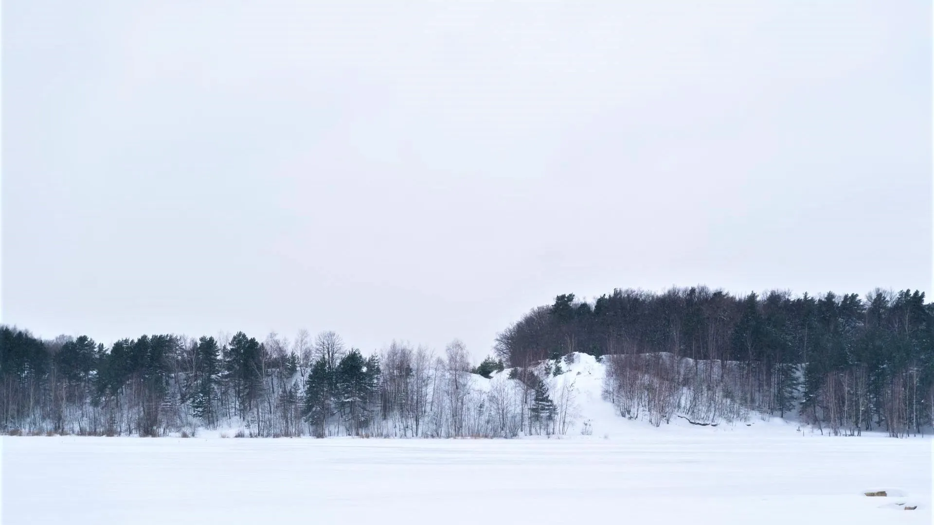 Фото: Владимир Думчев