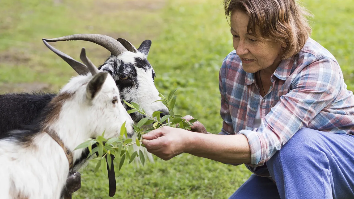 Фото: freepik.com