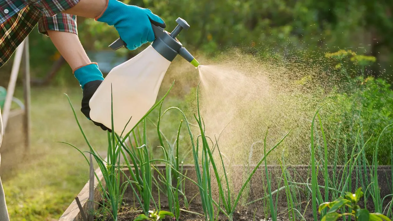 istockphoto.com/Valeriy_G