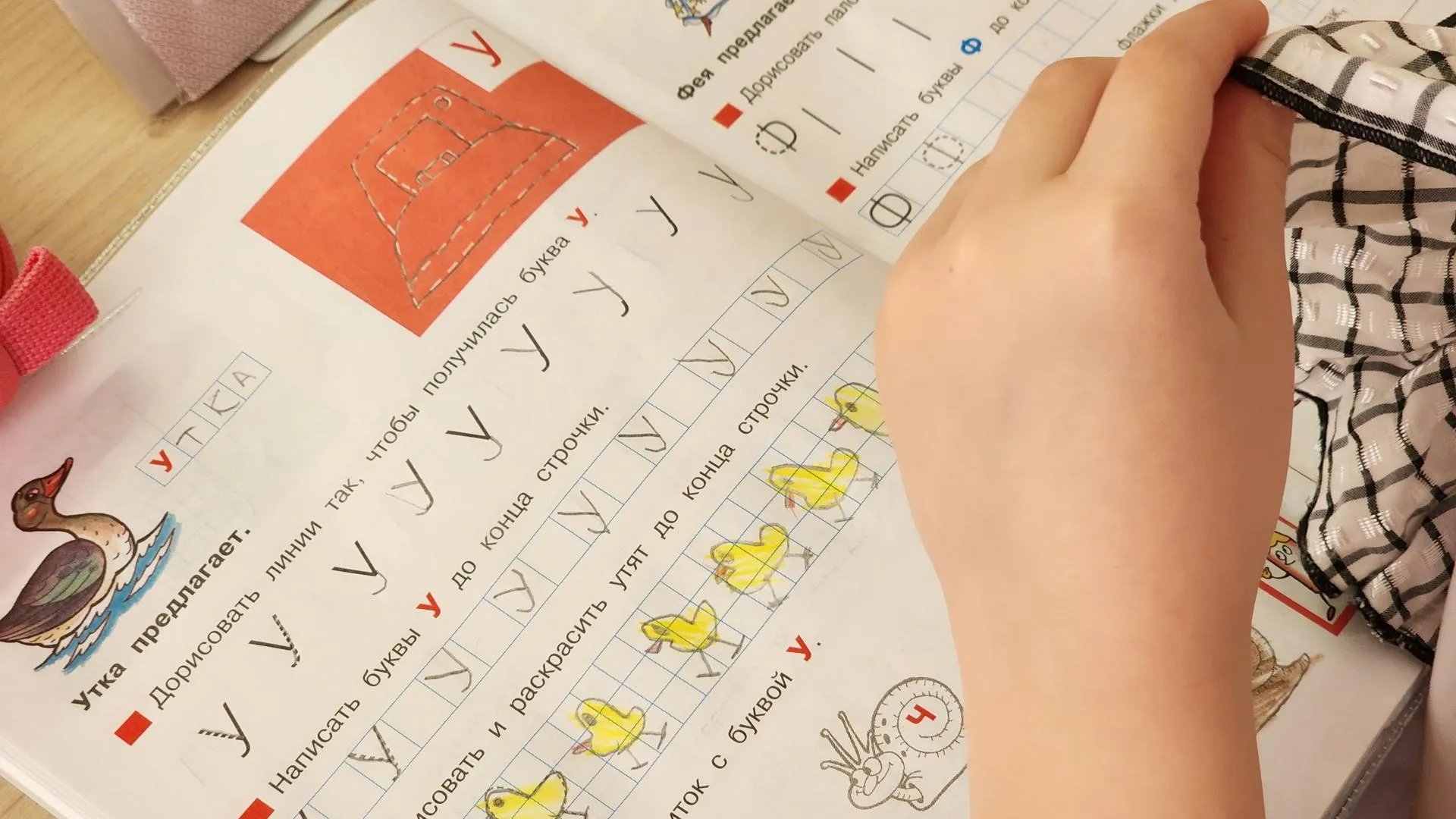 REGIONS/Анна Мороз