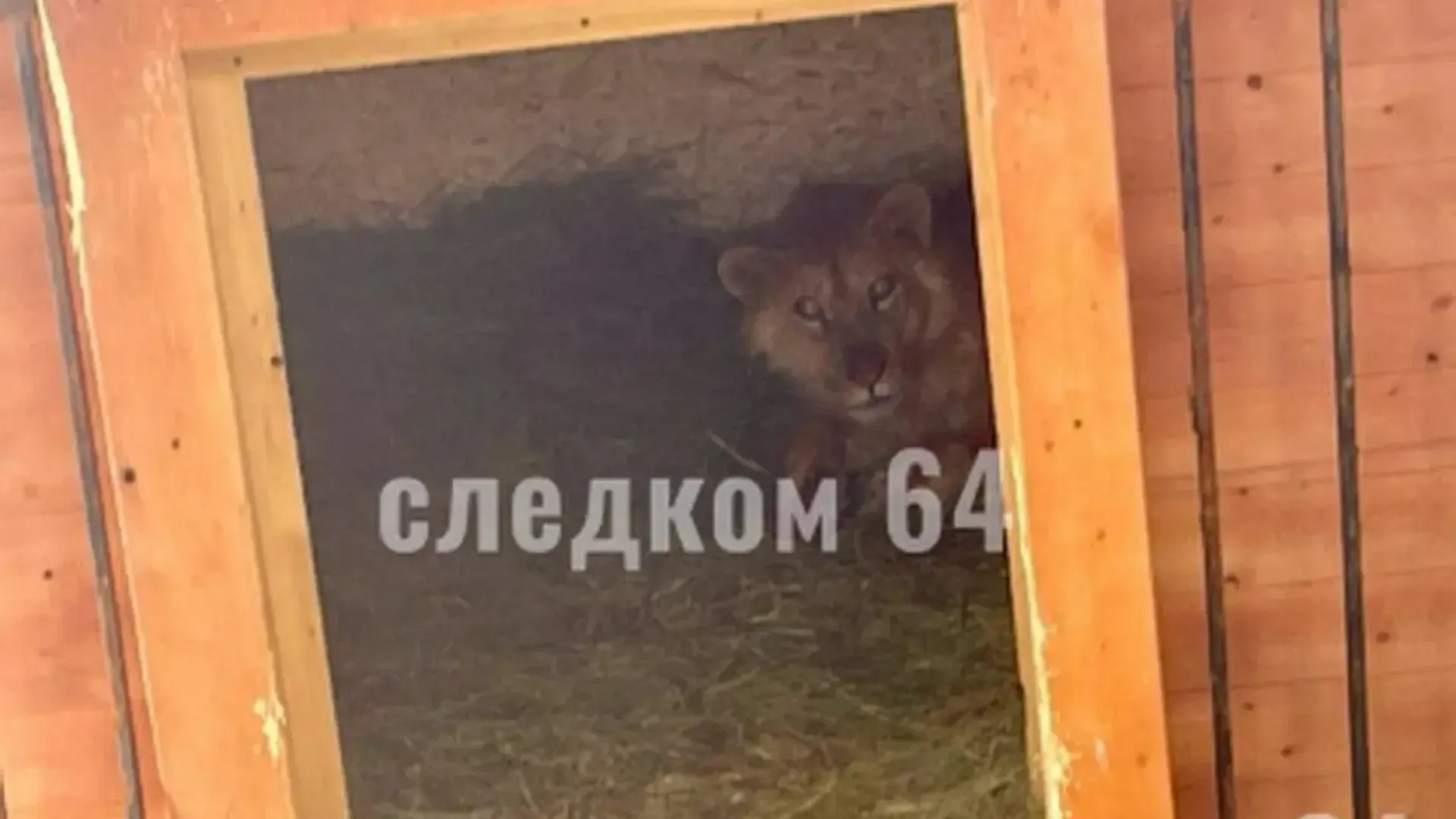 пресс-служба СУ СК по Саратовской области