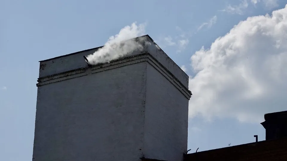 Фото: Дарья Леонова