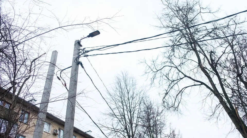 Фото: Александр Щербаков