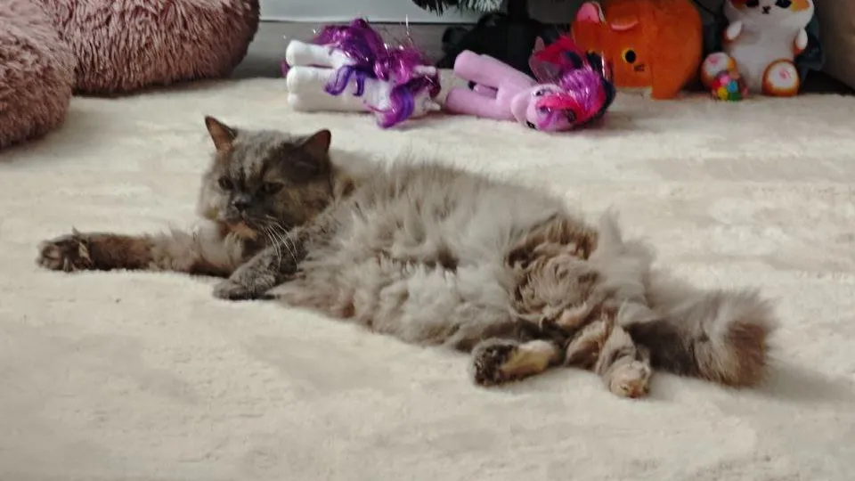 Фото: REGIONS/Максим Зубарев