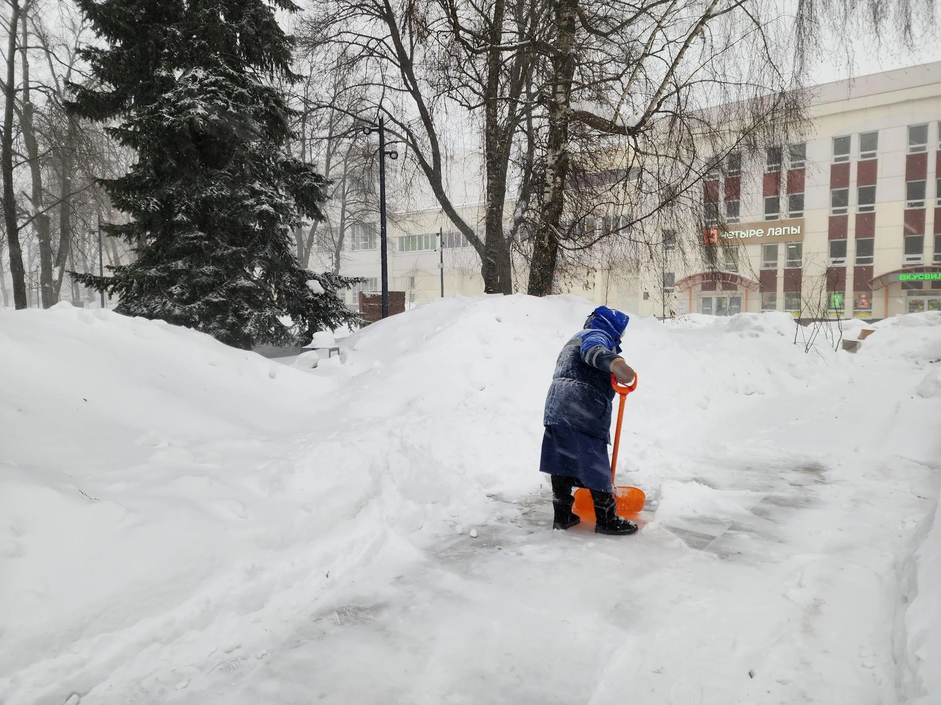 МедиаБанк Подмосковья/Ольга Аввакумова