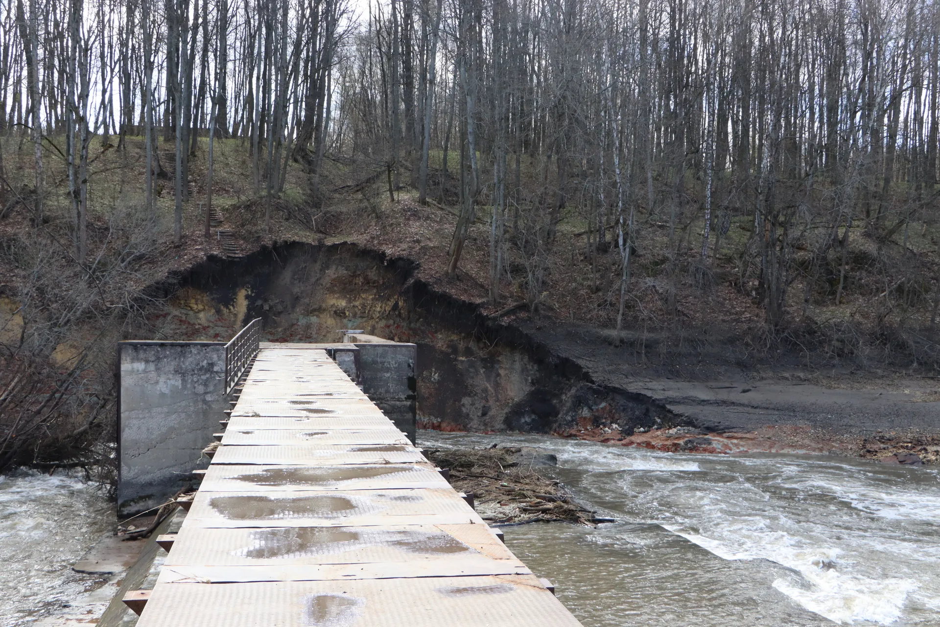 Фото: Ирина Матвеева