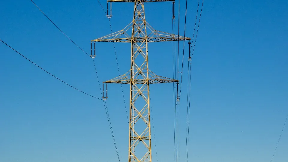 Фото: pxhere.com