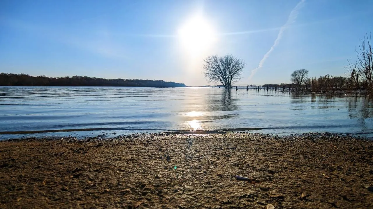 REGIONS/Алексей Селиверстов