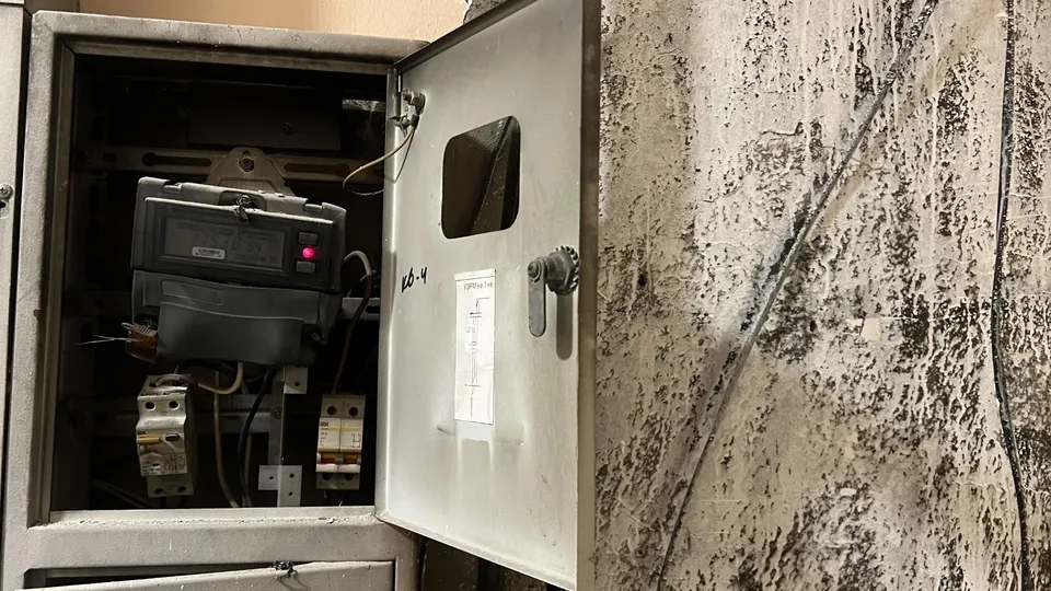 Фото: администрация г.о. Реутов