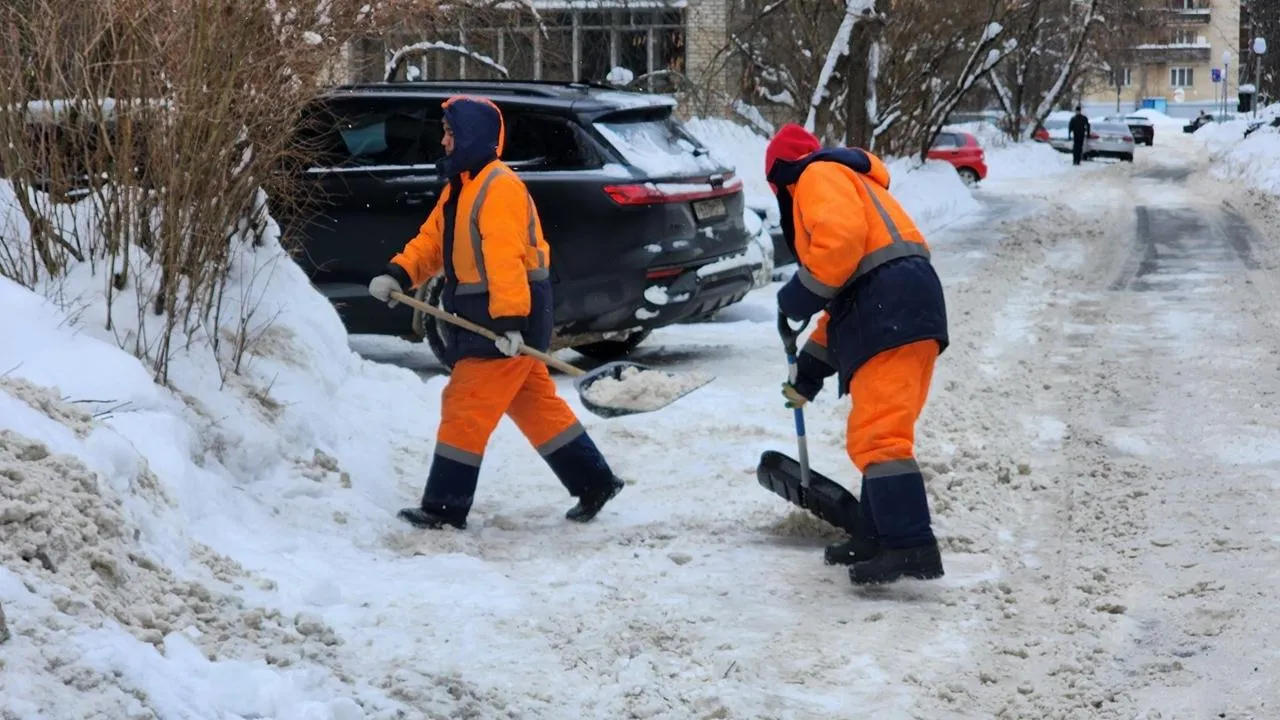 REGIONS/Анна Мороз