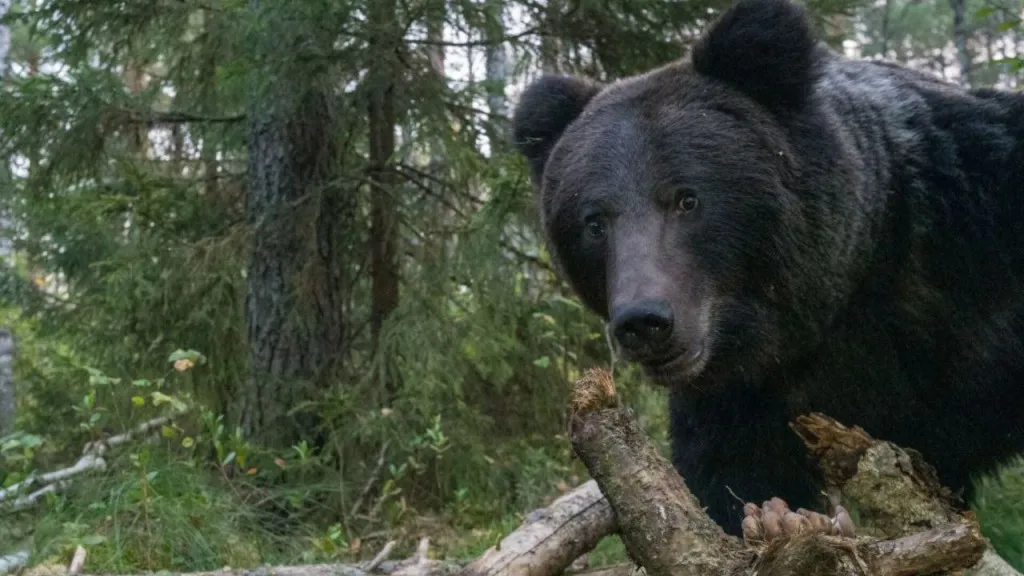 Фото: личный архив Игоря Барташова