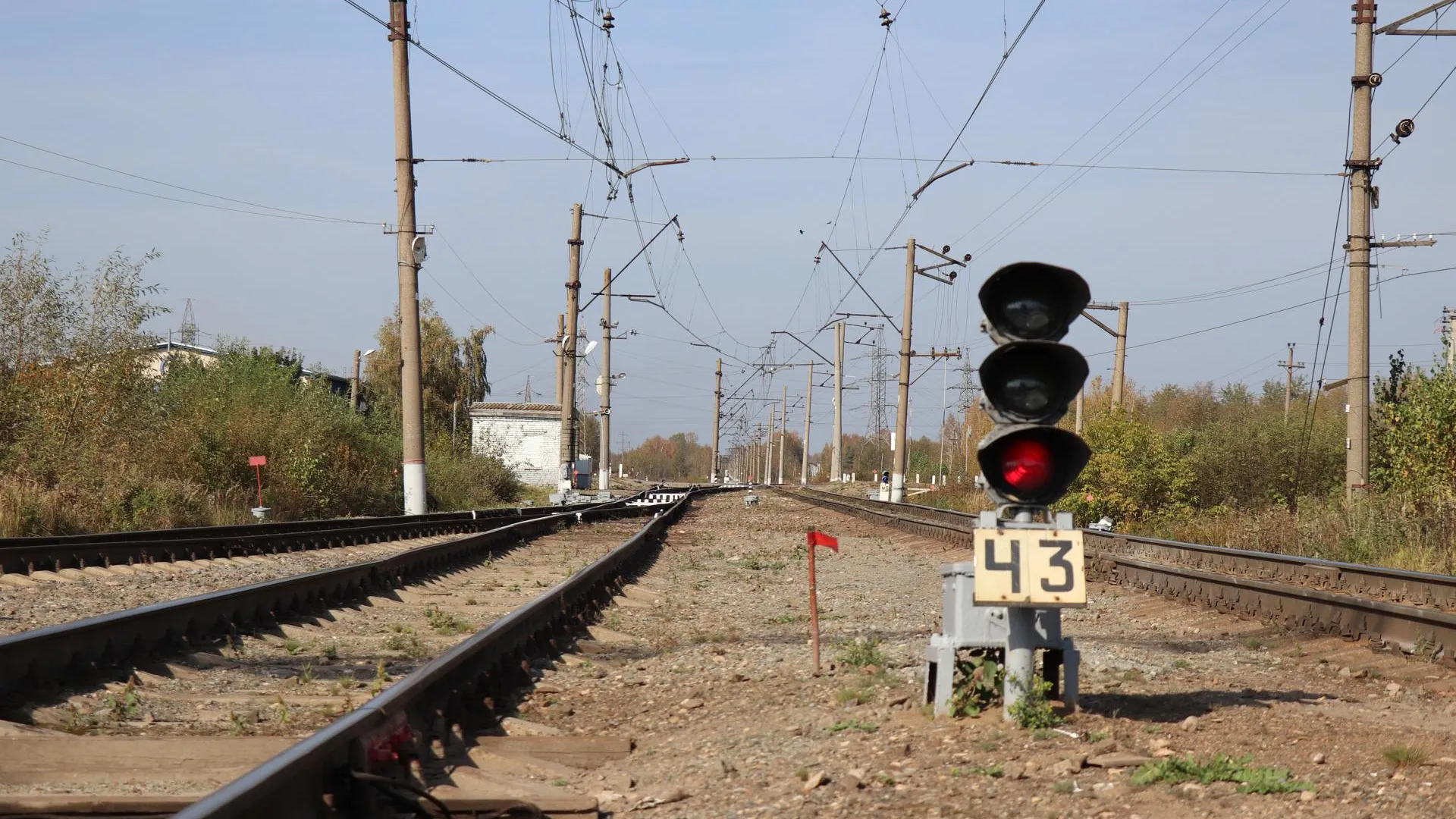 Фото: Василий Тремасов