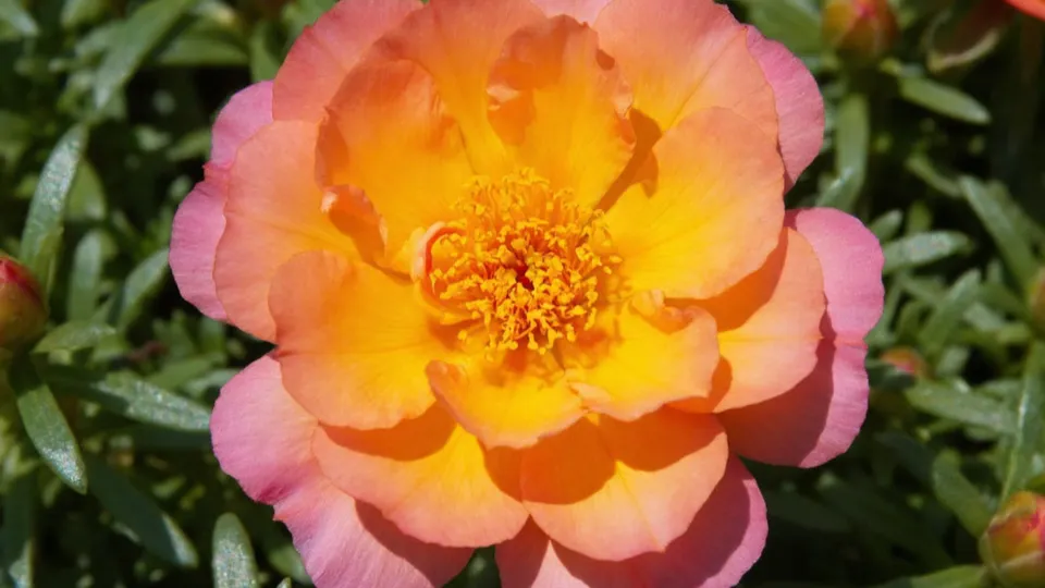 Фото: REGIONS/Сгенерировано нейросетью