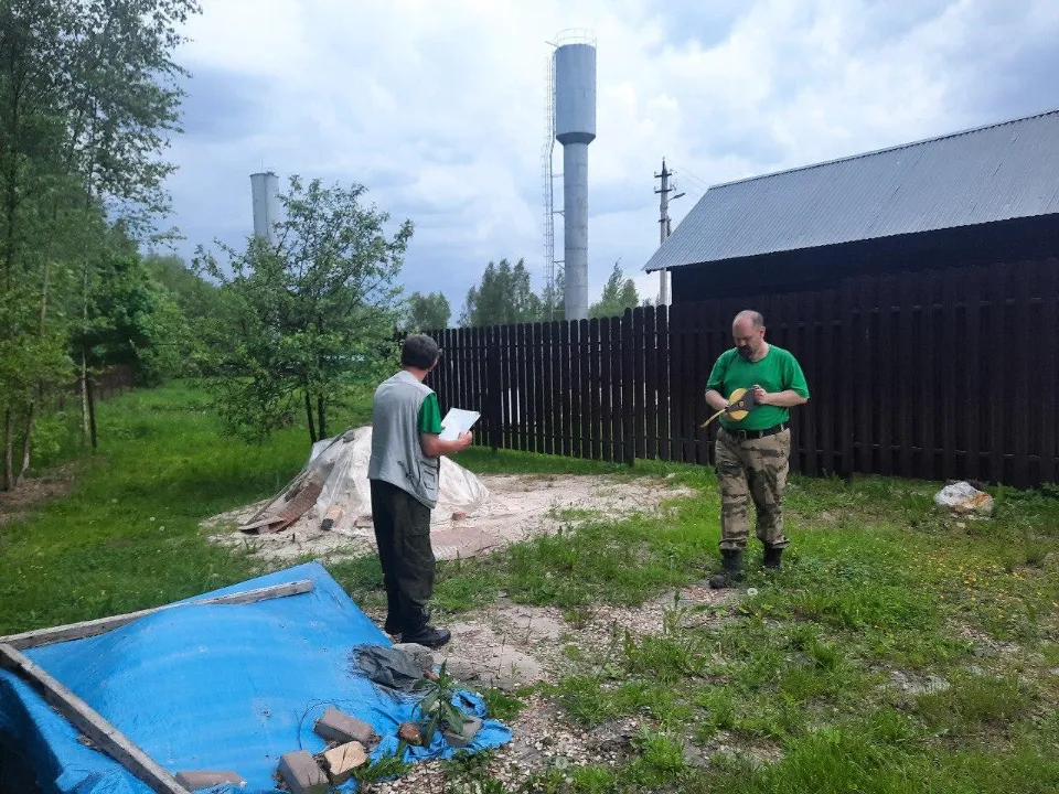 Фото: Комитет лесного хозяйства Московской области