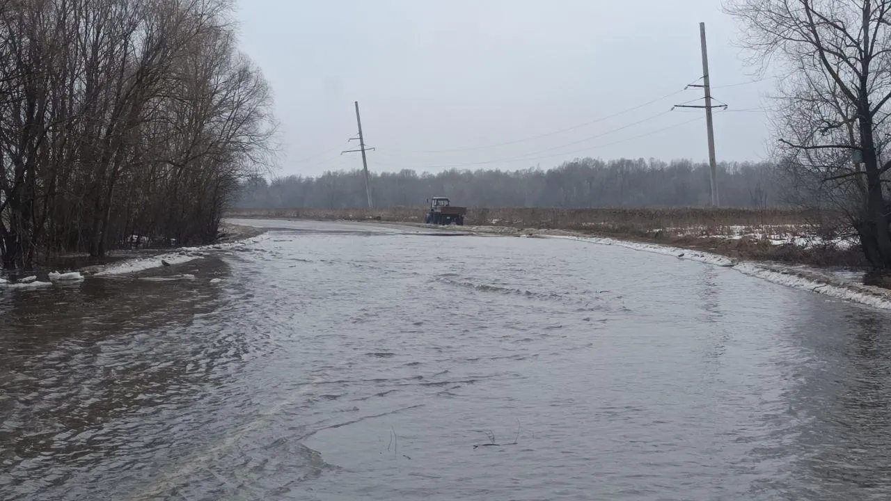 Фото: министерство энергетики Московской области