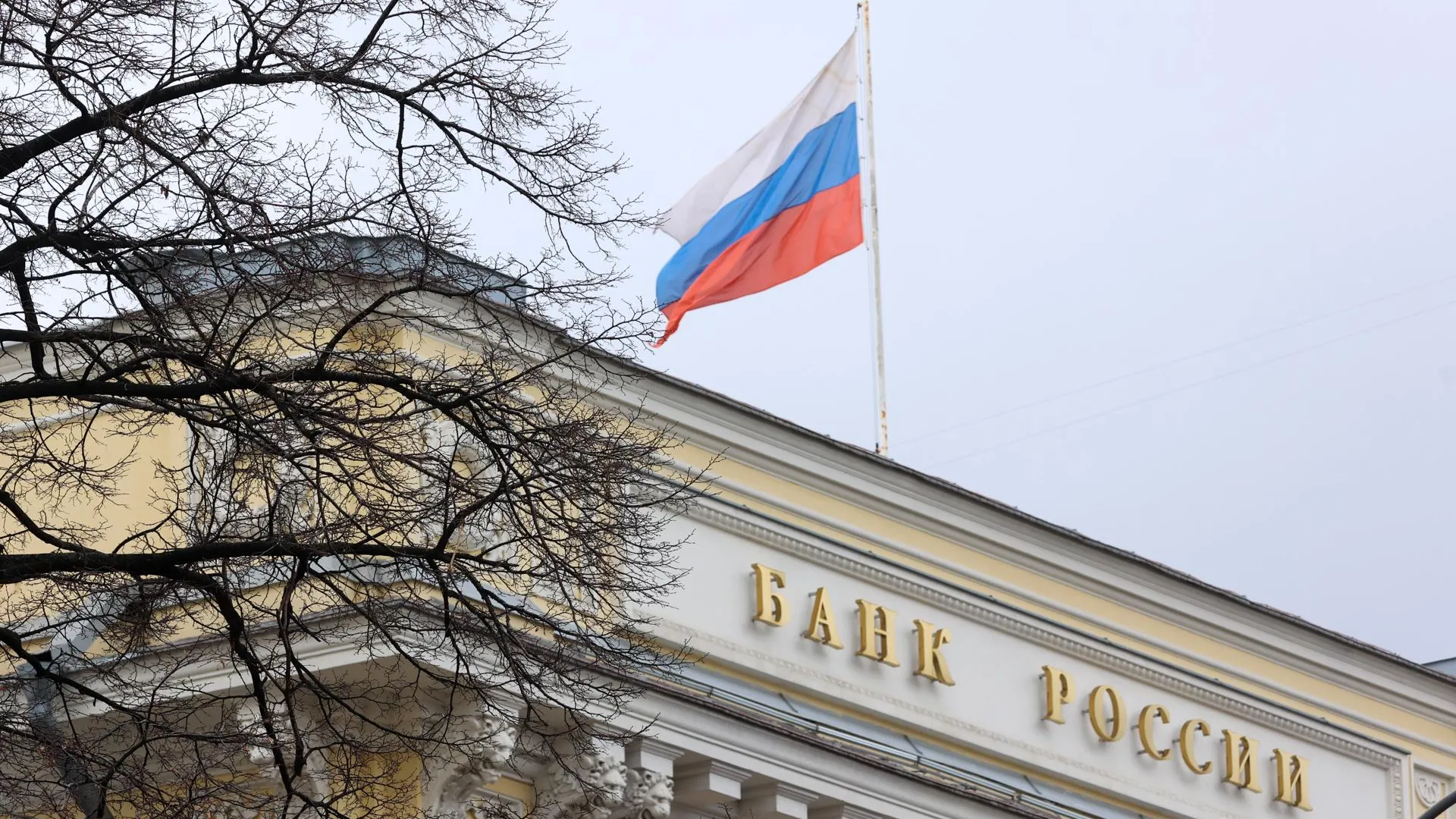 Petrov Sergey/news.ru
