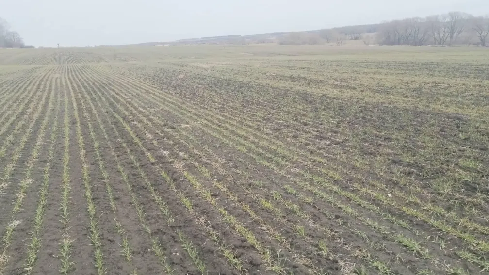 Фото: Пресс-служба Минсельхозпрод МО