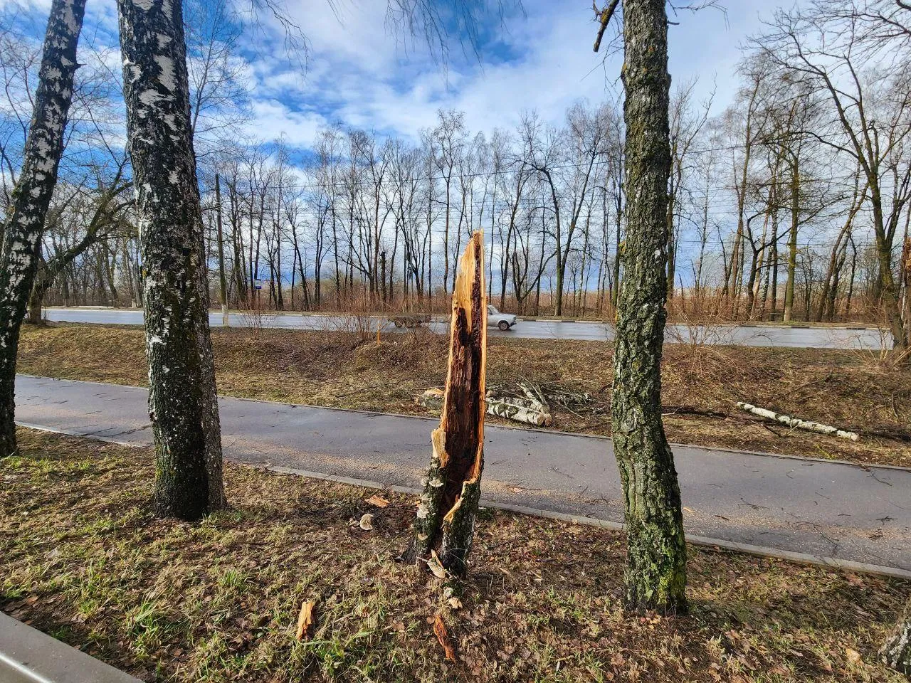 Фото: Яна Шаливская