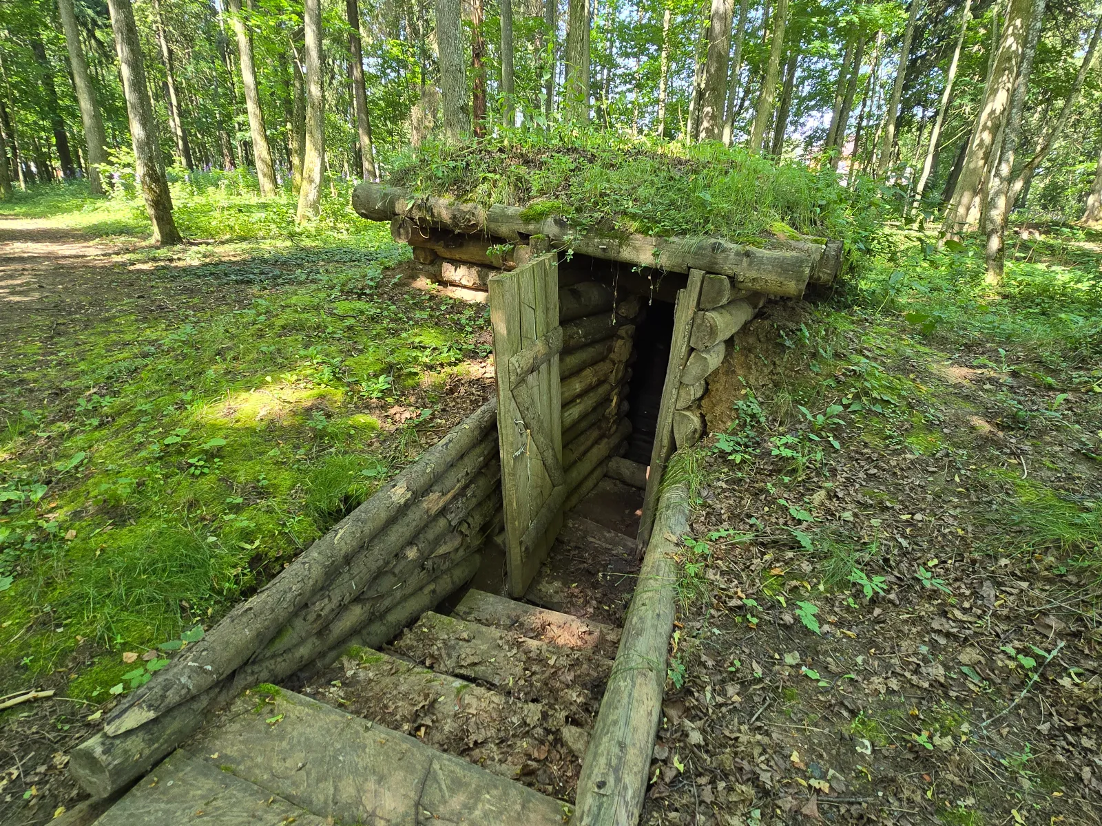 Фото: REGIONS/Яна Шаливская