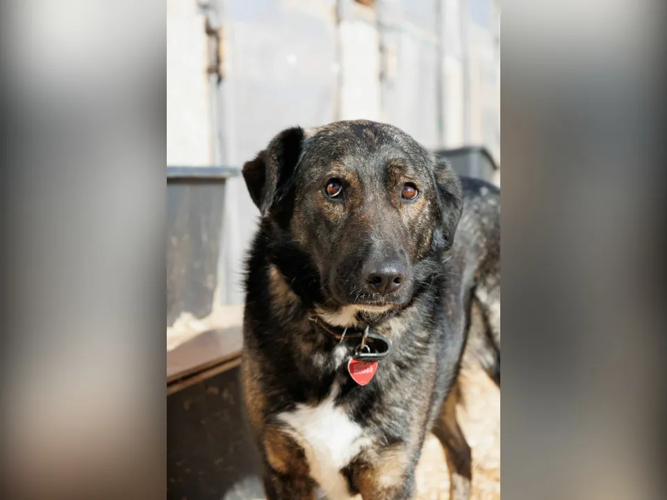 Фото: личный архив Юлия Ларина