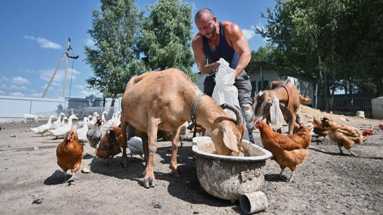 В Подмосковье с начала года грант на развитие сельского хозяйства получили 116 человек