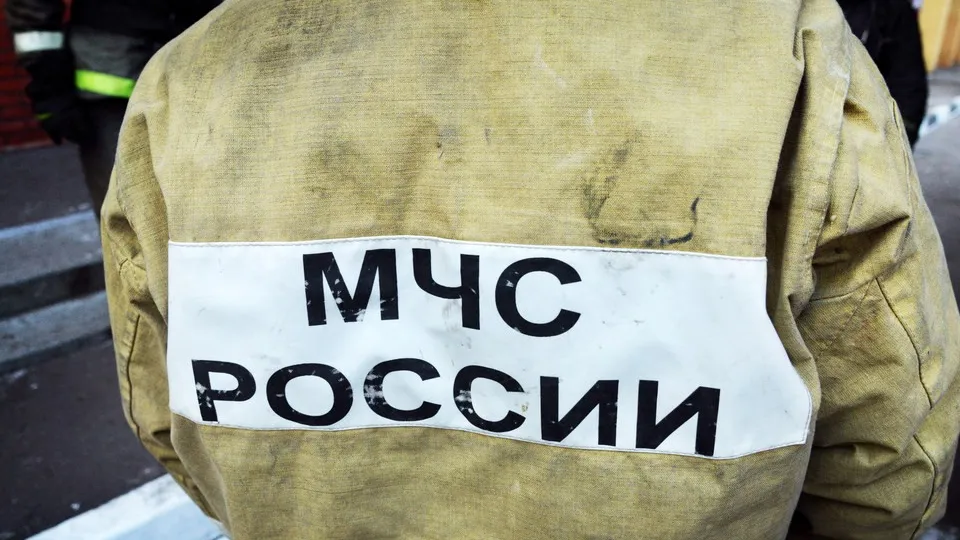 Фото: медиасток.рф