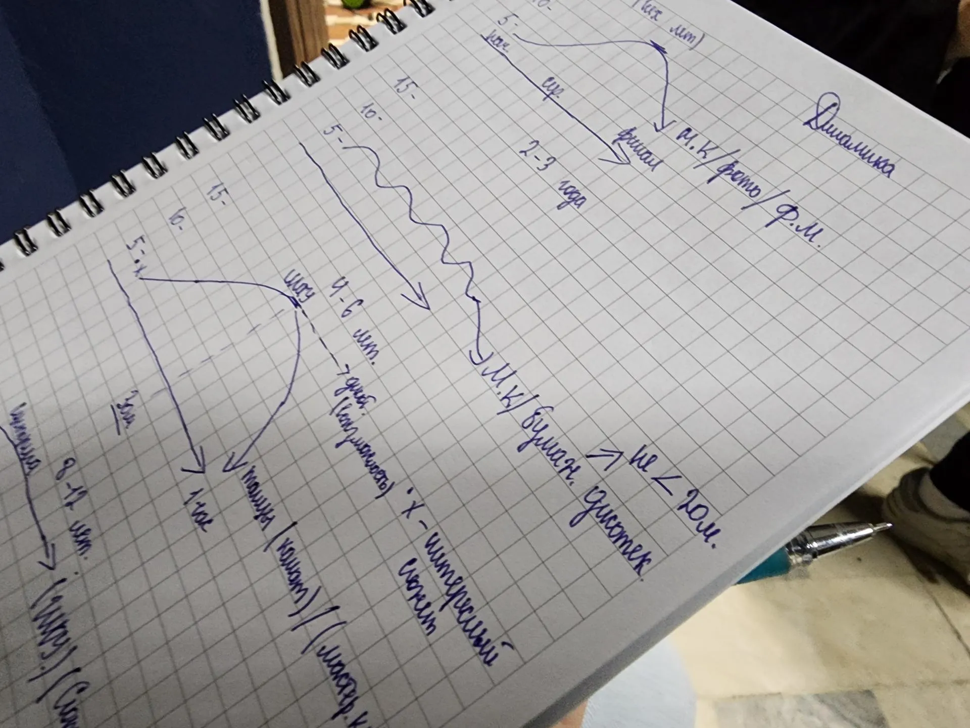 Мария Андрюхина