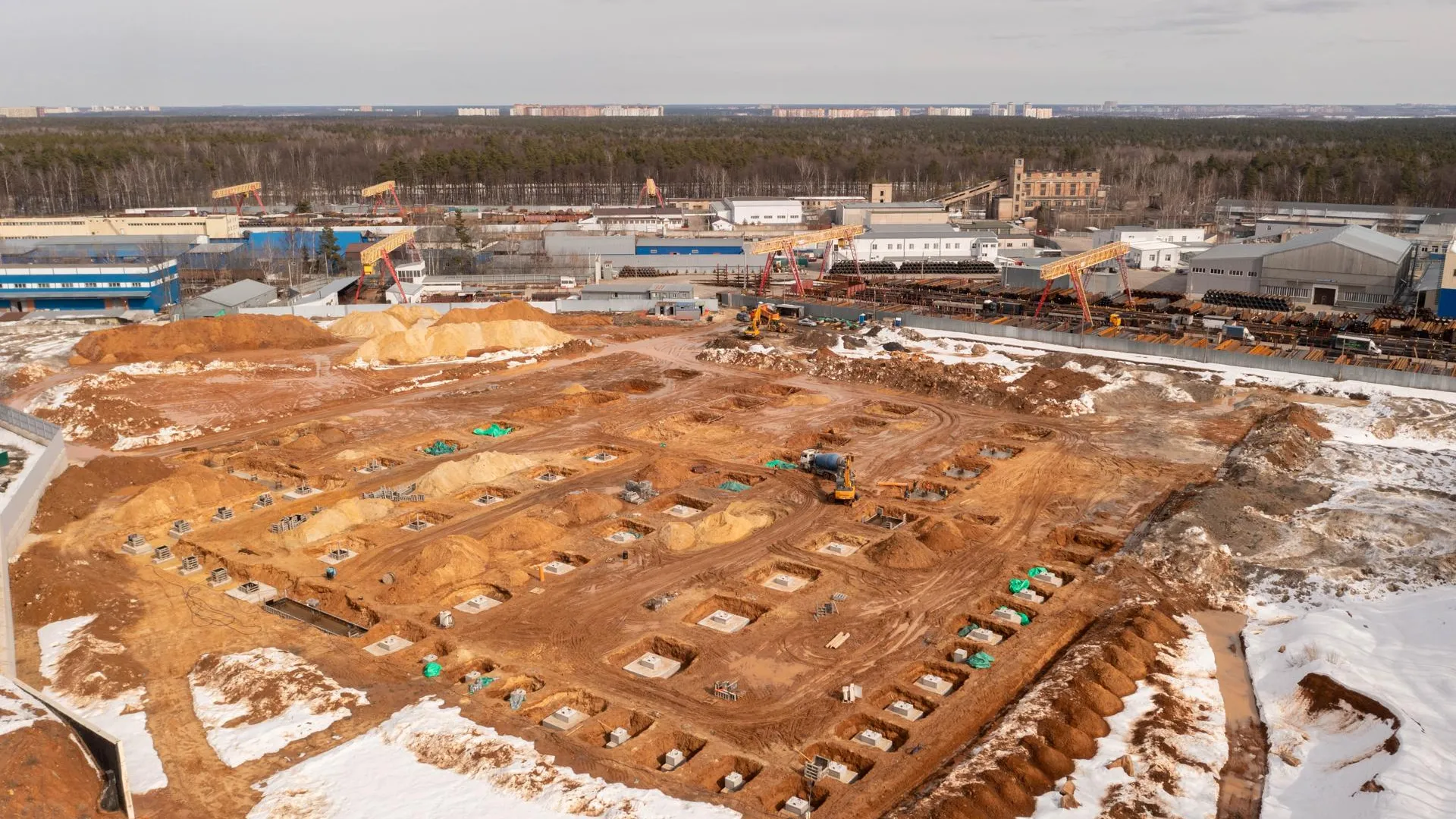 Фото: Александр Щербаков