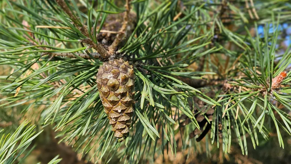 Фото: REGIONS/Александр Дрожжин