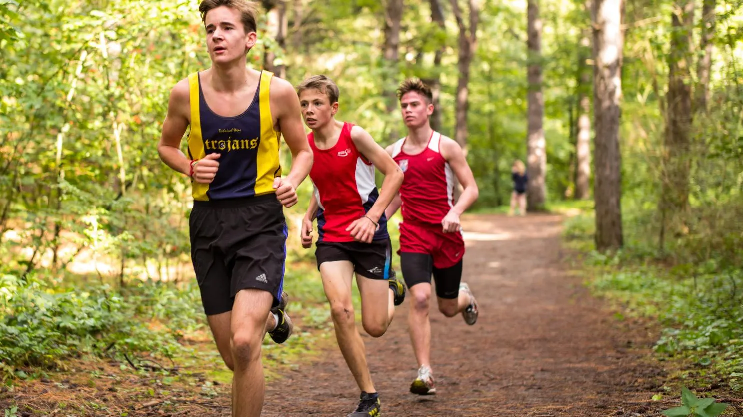 Фото: pxhere.com