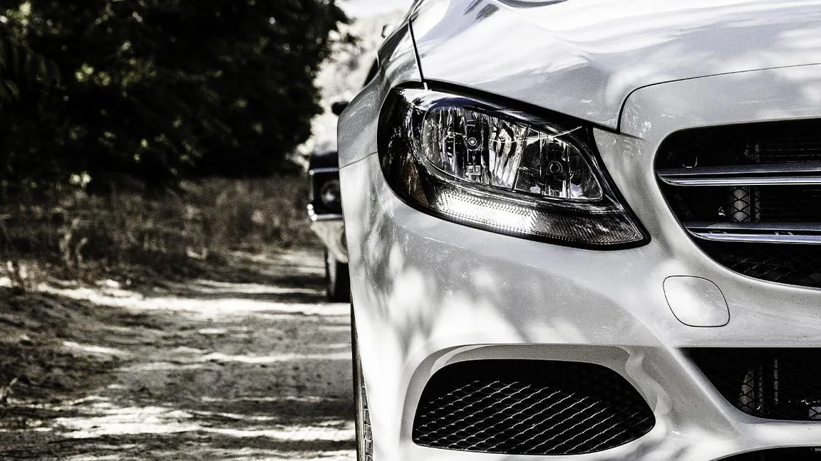 фото: pxhere.com