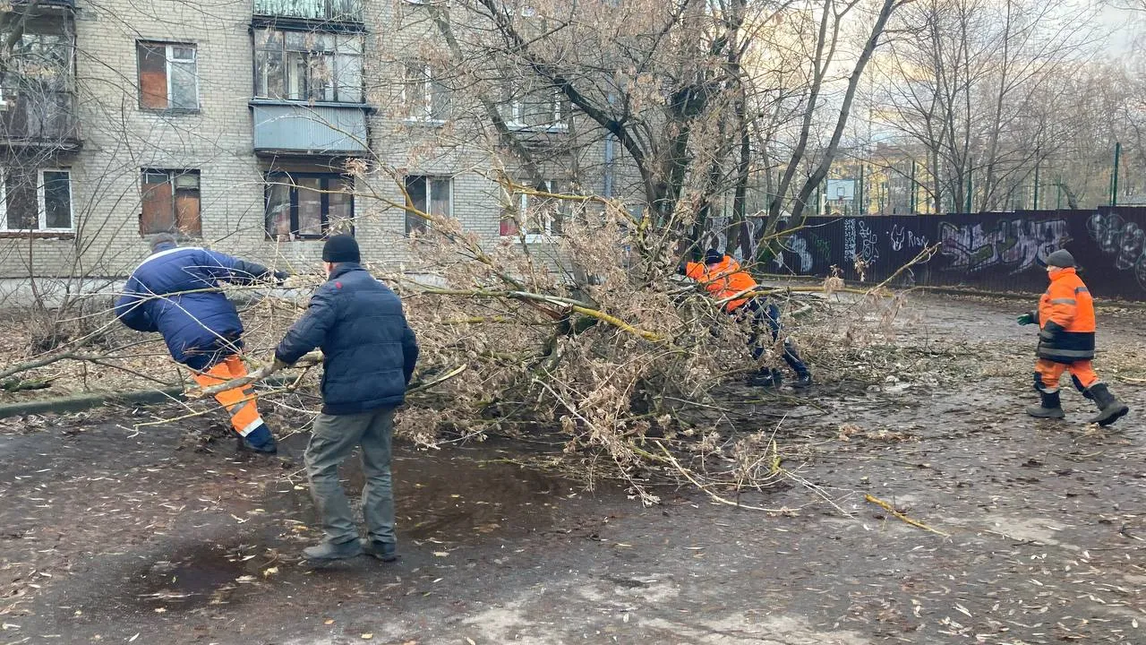Фото: МЦУР Жуковский