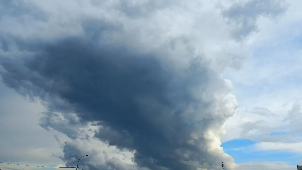 Фото: REGIONS/Олег Книжник