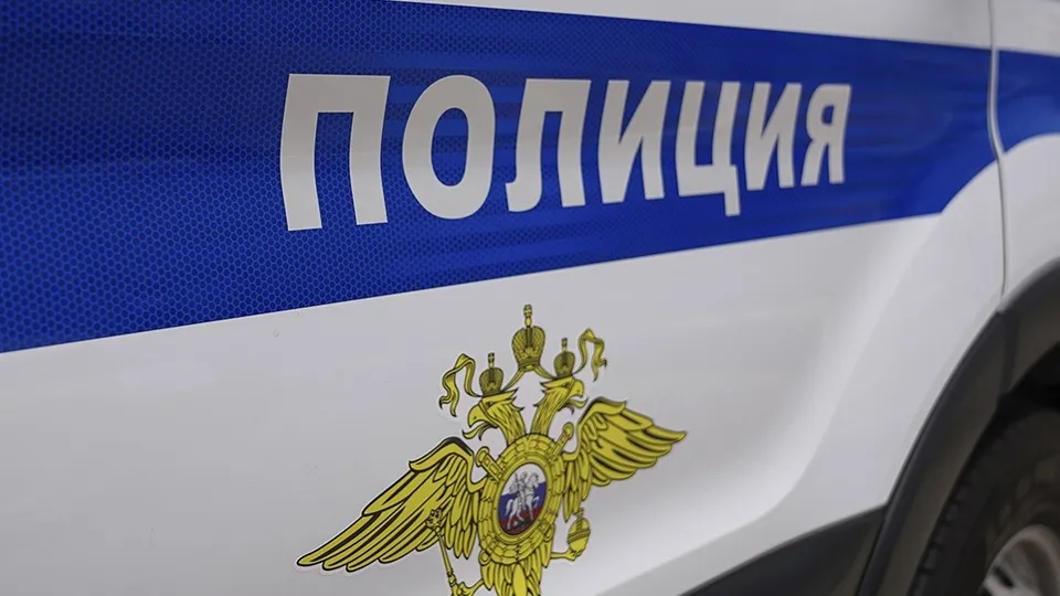Фото: ГУ МВД России по Московской области